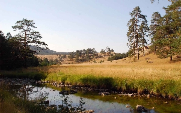 Zlatibor apartmani