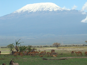 Kenya safari tour packages Amboseli