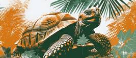 Galapagos Islands, Ecuador: Darwin`s Living Laboratory