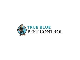 https://truebluepestcontrol.com.au/sydney/bed-bug-treatment/ website