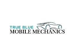 https://truebluemobilemechanics.com/sydney/ website