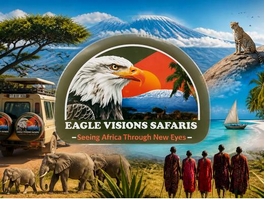 https://www.eaglevisionsafaris.co.tz/ website