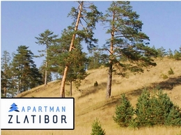 https://apartmanzlatibor.com/ website
