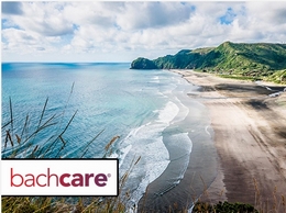 https://www.bachcare.co.nz/ website