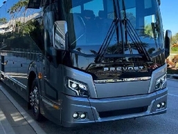 https://www.paradisotransportation.com/ website