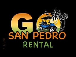 https://gosanpedrogolfcarts.com/ website
