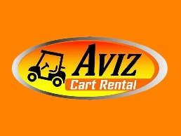 https://www.sanpedrogolfcarts.com/ website