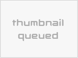 https://thaimed.co/ website