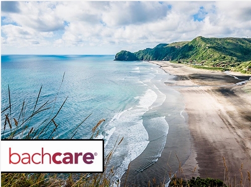 https://www.bachcare.co.nz/ website