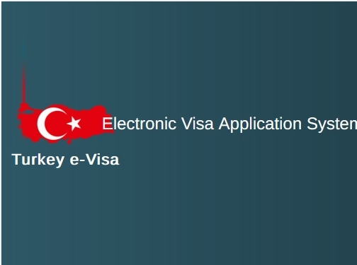 https://www.turkey-evisa-gov.org/ website