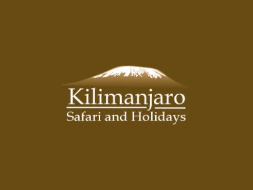 https://kilimanjarosafariholidays.com/ website