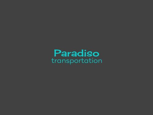 https://www.paradisotransportation.com/ website