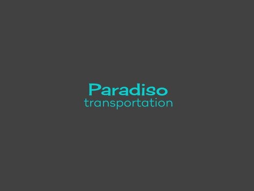 https://www.paradisotransportation.com/ website