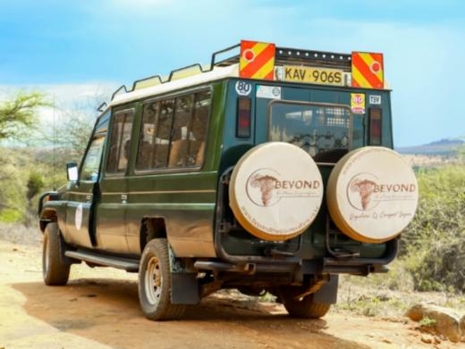 https://www.beyondtheplainssafaris.com/ website