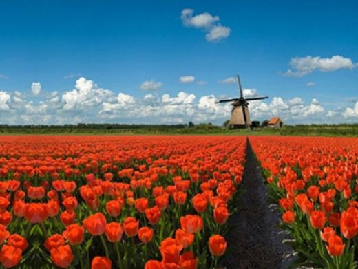 https://www.hanslangh.nl/ website