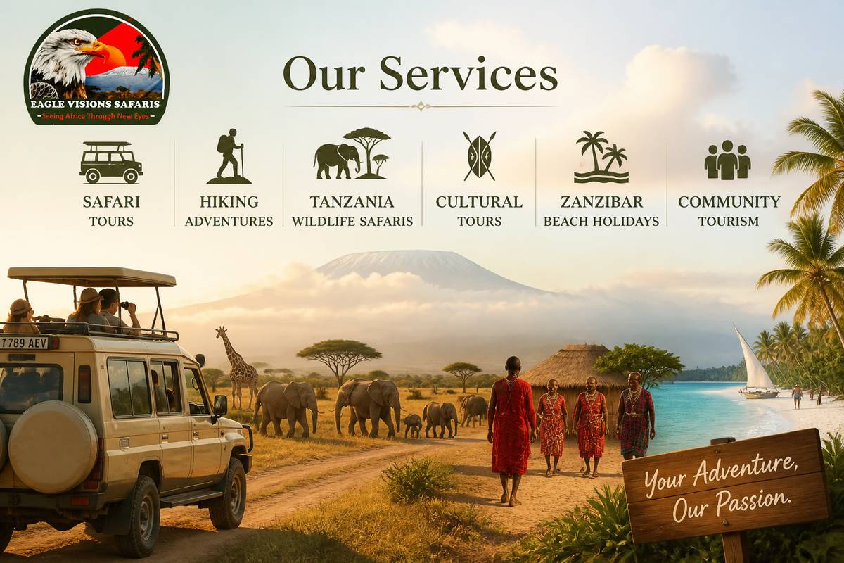 https://www.eaglevisionsafaris.co.tz/ website