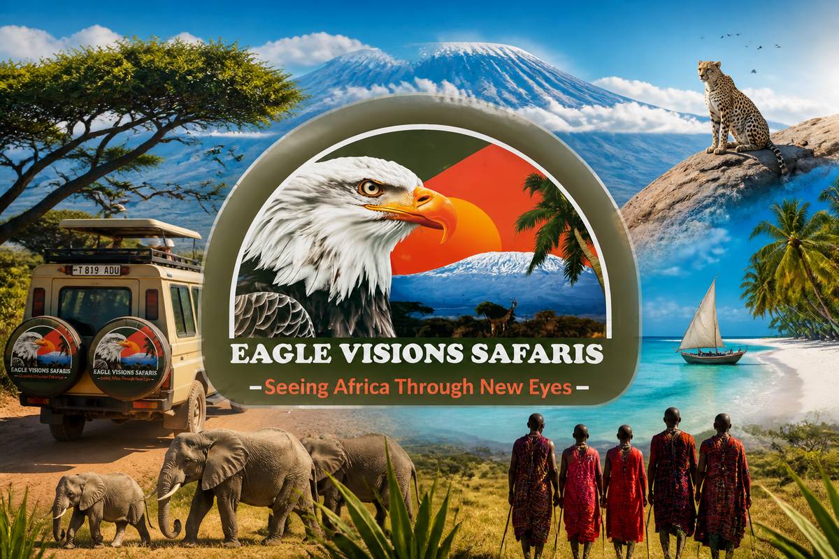 https://www.eaglevisionsafaris.co.tz/ website
